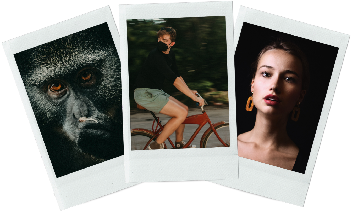 Three polaroid photos: a monkey's face, a woman on a red bicycle and a portrait with gold earrings